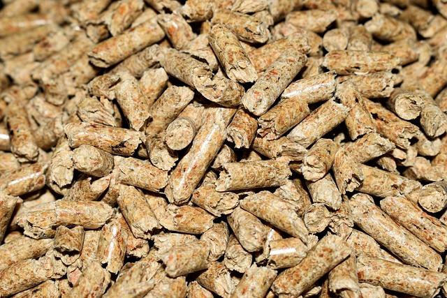 Tout savoir sur le label Qualibois : Avantages, aides et garanties pour votre chauffage au bois